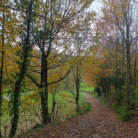 Casa Os Prados Da Albela 3* Triacastela
