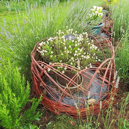 Casa Os Prados Da Albela Affittacamere 3*